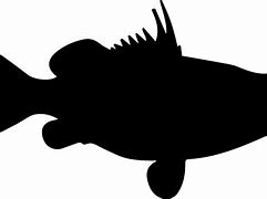 Image result for Deep Sea Fish Silhouette