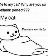 Image result for Funny Cat Memes 2014