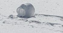 Image result for Funny Ohio Snow Memes