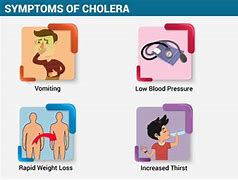 Image result for cholear