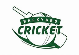 Image result for Backyard Cricket PNG NZ