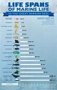 Image result for Marine Biology Facts