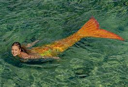 Image result for H2O Tail