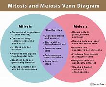 Image result for Explain the Difference Between And