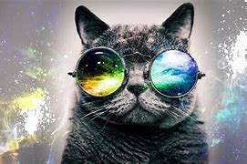 Image result for Galaxy Cat Art Conputer