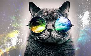 Image result for Galaxy Cat Desktop Wallpaper