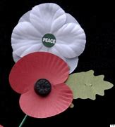 Image result for White Poppy Meme