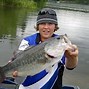 Image result for 5 Lb Largemouth Bass