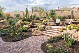 Image result for Arizona Desert Landscape Design