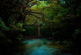Image result for 4K Beautiful Dark Nature Scenery