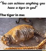 Image result for Tiger Meme Pic