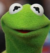 Image result for Kermit Frog Face