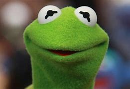 Image result for Muppets Kermit Face