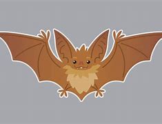 Image result for Little Brown Bat Clip Art