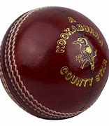 Image result for Cricket Ball