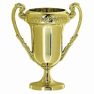 Image result for Oversized Award Cup