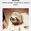 Image result for Space Sloth Meme