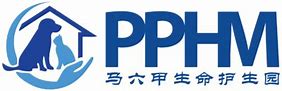 Image result for pphm stock