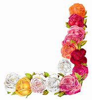 Image result for Roses Pattern Graphic