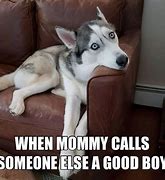 Image result for Call Me Funny Animal Pictures