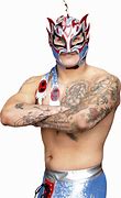 Image result for Fenix Wrestler