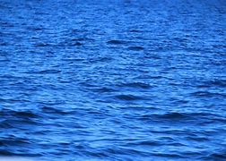 Image result for Sea surface