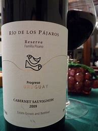 Image result for Pisano Pinot Noir Rio Los Pajaros Reserve