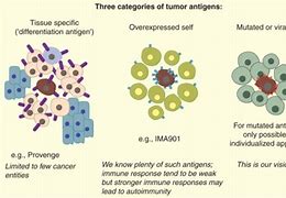 Image result for Tumor Antigen