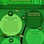 Image result for Canva Infographic Template