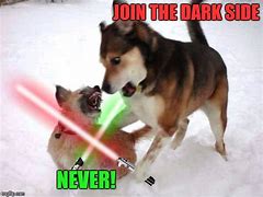 Image result for Star Wars Dog Meme