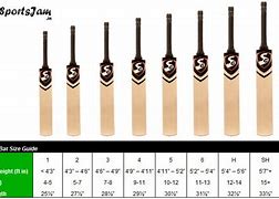 Image result for SS Cricket Bat Profile
