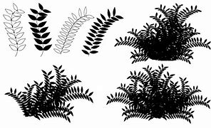 Image result for Bush Drawing Black and White