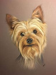 Image result for Animal Pastel Drawing