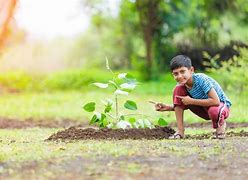 Image result for Child Planting a Tree