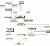 Image result for Karate Styles Family Tree