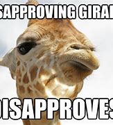 Image result for Funny Giraffe Memes