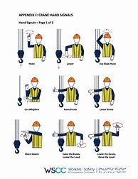 Image result for Hand Signals Cranes with Action