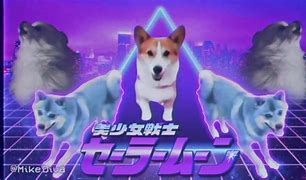 Image result for Cool Dog Meme