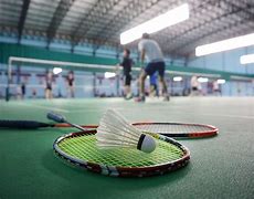 Image result for About Badminton