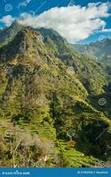 Image result for Mountain Terrace
