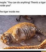 Image result for Tiger Daly Meme