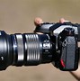 Image result for Lumix GH5 Wildlife Photo