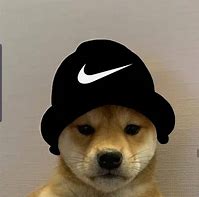 Image result for 1080X1080 Dog with Hat
