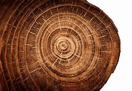 Image result for Sacred Sites of Mongolian Shamanism