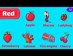 Image result for Red Round Things