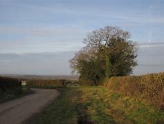Image result for bondleigh