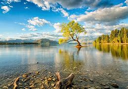 Image result for Colorful Nature Scenes