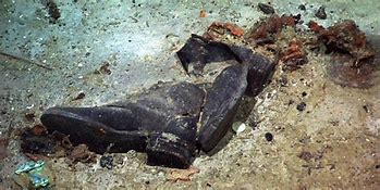 Image result for Human Remains at Titanic Shipwreck Site