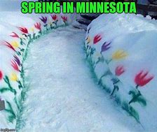 Image result for Minnesota Spring Meme