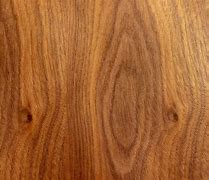 Image result for Dark Maple Wood